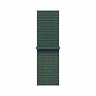 Watch SE 2024, 40 mm, алюминий "сияющая звезда", ремешок Textile Sport Loop, зеленый