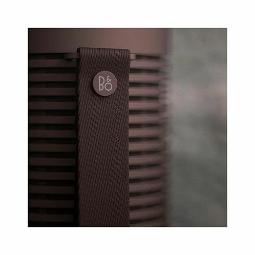 Портативная акустика Bang & Olufsen Beosound Explore Chestnut | каштановый