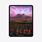 iPad Pro 13" (M4, 2024), Wi-Fi + Cellular, 1 Тб, нанотекстурное стекло, "черный космос"