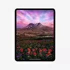 iPad Pro 13" (M4, 2024), Wi-Fi, 256 Гб, серебристый