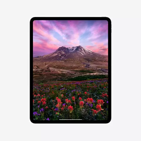 iPad Pro 13" (M4, 2024), Wi-Fi, 256 Гб, серебристый