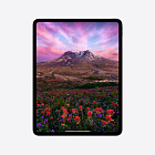 iPad Pro 13" (M4, 2024), Wi-Fi, 512 Гб, "черный космос"