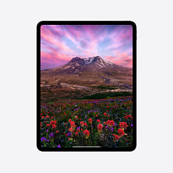 iPad Pro 13" (M4, 2024), Wi-Fi, 512 Гб, "черный космос"