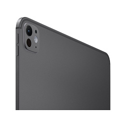 iPad Pro 13" (M4, 2024), Wi-Fi + Cellular, 256 Гб, "черный космос"