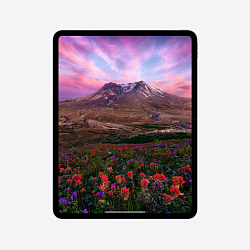 iPad Pro 13" (M4, 2024), Wi-Fi, 1 Тб, нанотекстурное стекло, серебристый