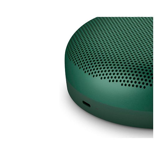 Портативная акустика Bang & Olufsen Beosound A1 2nd Gen, Green | зеленый